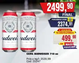 Maxiconsumo Budweiser cerv. oferta
