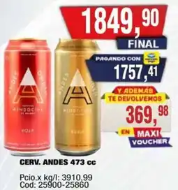 Maxiconsumo Andes cerv. oferta