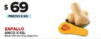 Carrefour Zapallo anco kg oferta