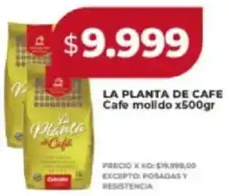 Supermayorista Vital La planta de cafe molldo oferta