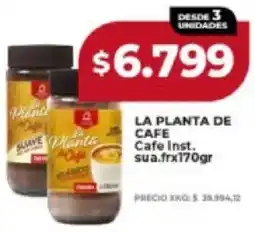 Supermayorista Vital La planta de cafe inst. sua.fr oferta