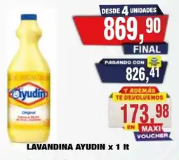 Maxiconsumo Ayudin lavandina oferta