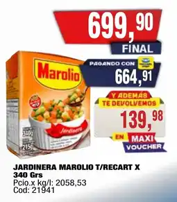 Maxiconsumo Marolio jardinera t/recart oferta