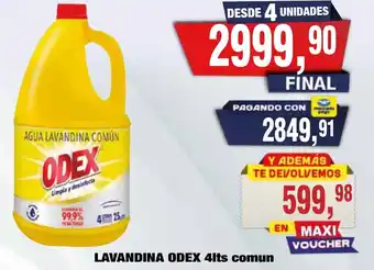 Maxiconsumo Odex lavandina oferta