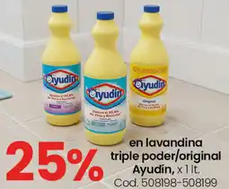 Coto Ayudín en lavandina triple poder/original oferta
