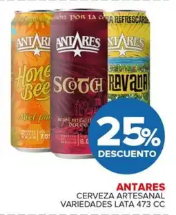 Carrefour Maxi Antares cerveza artesanal variedades lata oferta