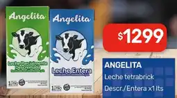 Nini Mayorista Angelita leche tetrabrick descr./entera oferta