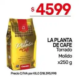 Nini Mayorista La planta de cafe torrado molido oferta