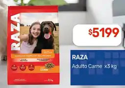 Nini Mayorista Raza adulto carne oferta