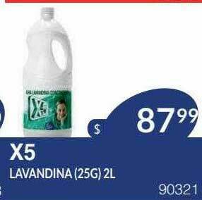 Masivos X5 Lavandina oferta