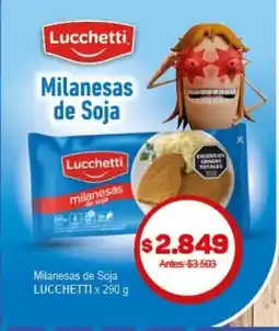 Makro Milanesas de Soja Lucchetti oferta