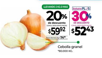 La Anonima Cebolla granel oferta