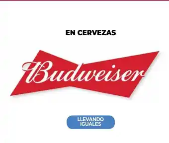 La Anonima Budweiser En Cervezas oferta