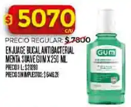 Supermercados DIA Gum enjuage bucal antibacterial menta suave oferta