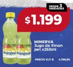 Supermayorista Vital Minerva jugo de limon pet oferta
