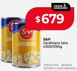 Supermayorista Vital S&P jardinera lata oferta
