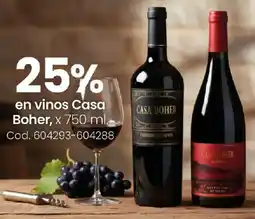 Coto Casa Boher vinos oferta