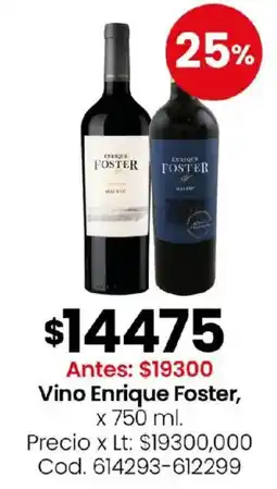 Coto Enrique Foster vino oferta