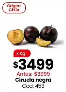 Coto Ciruela negra oferta