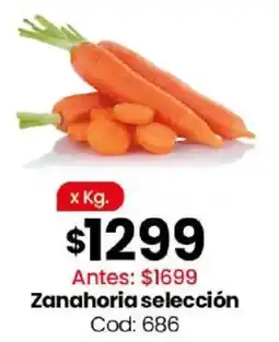Coto Zanahoria oferta