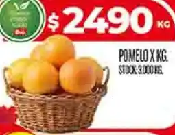 Supermercados DIA Pomelo oferta