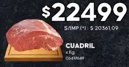 Diarco Cuadril oferta