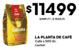 Diarco La planta de café oferta