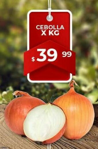 Makro Cebolla x kg oferta