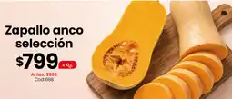 Coto Zapallo anco selección oferta