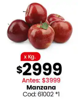 Coto Manzana oferta