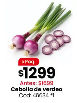 Coto Cebolla de verdeo oferta