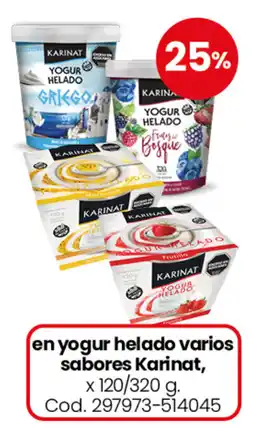 Coto Karinat en yogur helado varios sabores oferta