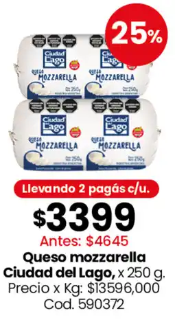 Coto Ciudad del lago queso mozzarella oferta