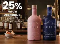 Coto Aconcagua en gin oferta