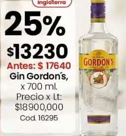 Coto Gordon's gin oferta