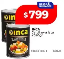 Supermayorista Vital Inca jardinera lata oferta