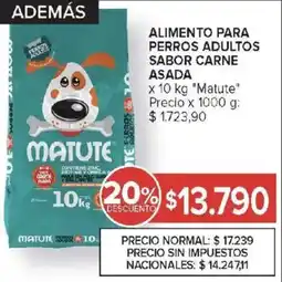 Carrefour Matute alimento para perros adultos sabor carne asada oferta