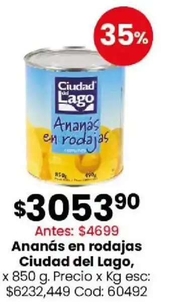 Ciudad del lago ananás en rodajas