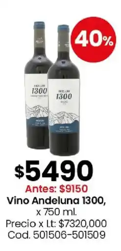 Coto Andeluna 1300 vino oferta