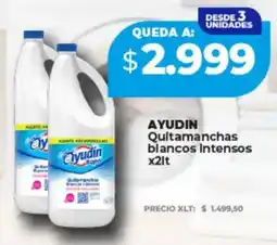 Supermayorista Vital Ayudín quitamanchas blancos intensos oferta