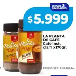 Supermayorista Vital La planta de café cafe inst. cla.fr oferta