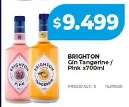 Supermayorista Vital Brighton gin tangerine / pink oferta