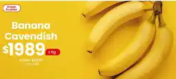 Coto Banana cavendish oferta