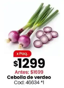 Coto Cebolla de verdeo oferta