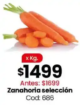 Coto Zanahoria selección oferta