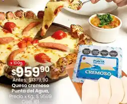 Coto Punta del agua queso cremoso oferta