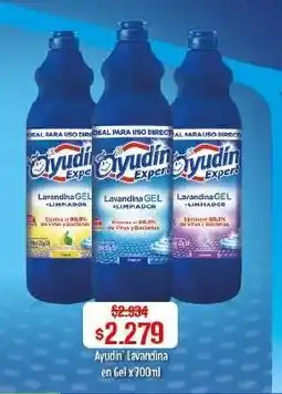 Makro Ayudin lavandina en gel oferta