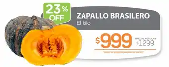 Zapallo brasilero