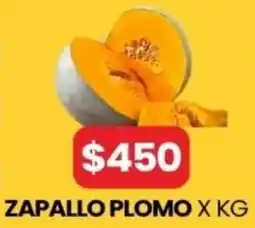 Autoservicio Capo Zapallo plomo oferta
