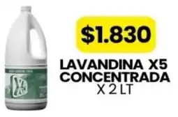 Autoservicio Capo Concentrada lavandina x5 oferta